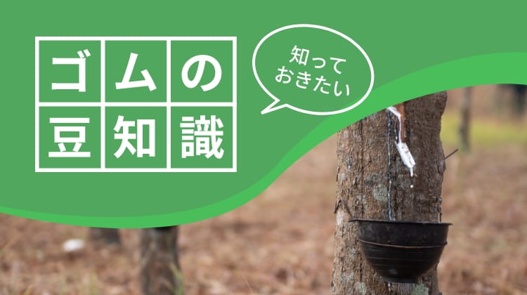 ゴムの豆知識